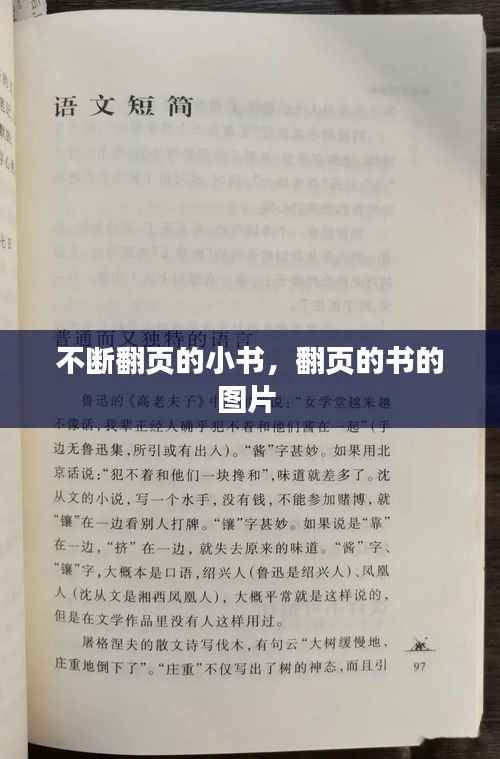 不断翻页的小书，翻页的书的图片 