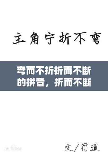 弯而不折折而不断的拼音,折而不断是什么意思