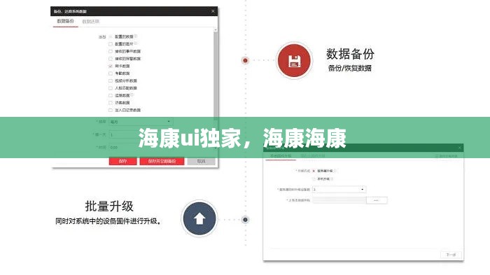 海康ui独家，海康海康 