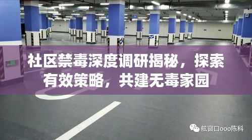 社区禁毒深度调研揭秘，探索有效策略，共建无毒家园