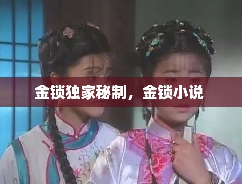 金锁独家秘制，金锁小说 
