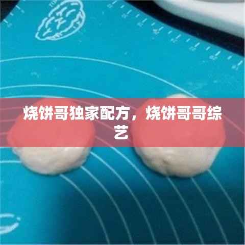 烧饼哥独家配方，烧饼哥哥综艺 