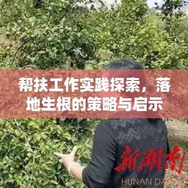 帮扶工作实践探索,落地生根的策略与启示