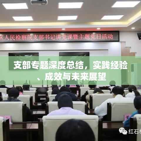 支部专题深度总结，实践经验、成效与未来展望