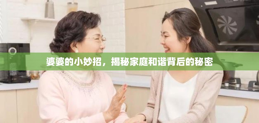 婆婆的小妙招,揭秘家庭和谐背后的秘密