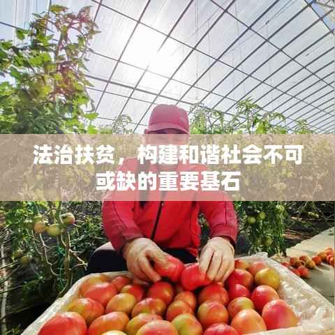 法治扶贫，构建和谐社会不可或缺的重要基石