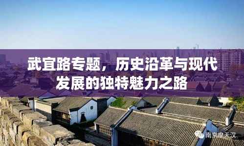武宜路专题，历史沿革与现代发展的独特魅力之路