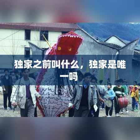 独家之前叫什么，独家是唯一吗 