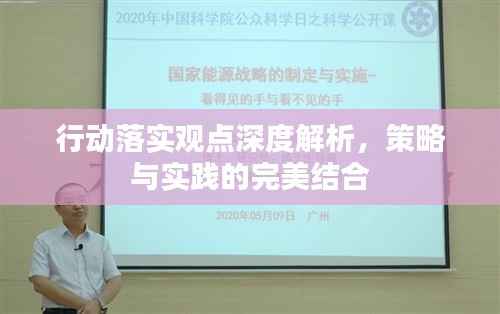 行动落实观点深度解析,策略与实践的完美结合