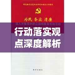 行动落实观点深度解析，策略与实践的完美结合