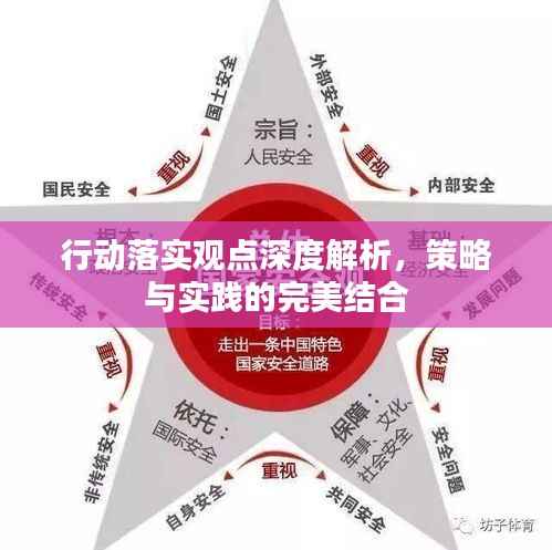 行动落实观点深度解析,策略与实践的完美结合