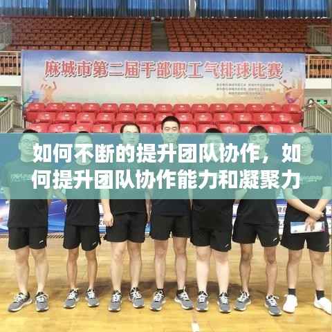 如何不断的提升团队协作，如何提升团队协作能力和凝聚力 