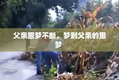 父亲噩梦不断，梦到父亲的噩梦 