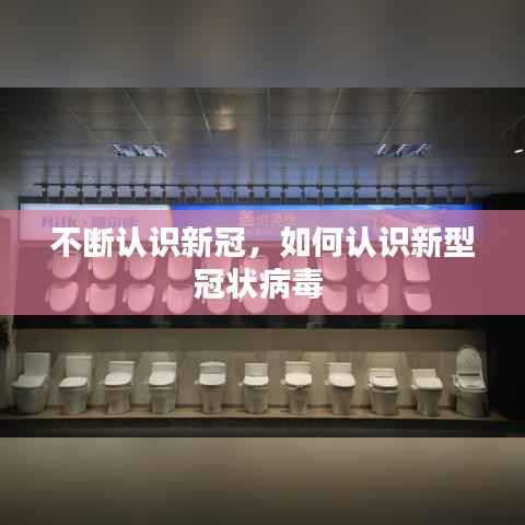 坌鸟先飞 第5页