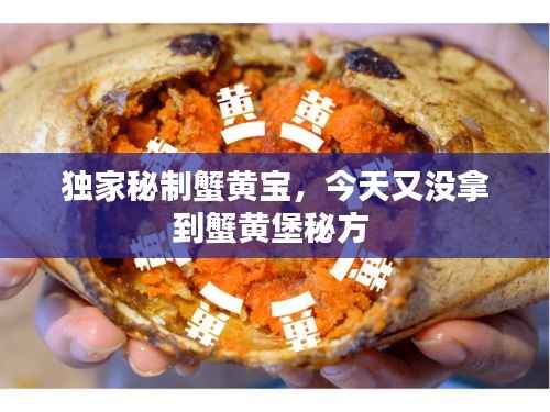 独家秘制蟹黄宝，今天又没拿到蟹黄堡秘方 