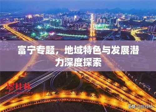 富宁专题，地域特色与发展潜力深度探索