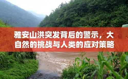 雅安山洪突发背后的警示，大自然的挑战与人类的应对策略