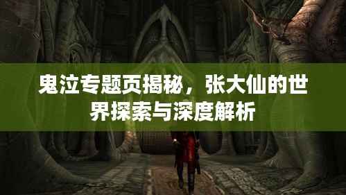 鬼泣专题页揭秘，张大仙的世界探索与深度解析