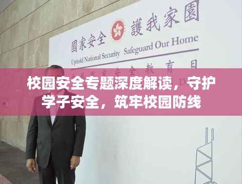 校园安全专题深度解读，守护学子安全，筑牢校园防线