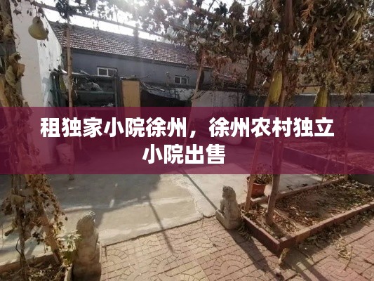 租独家小院徐州，徐州农村独立小院出售 