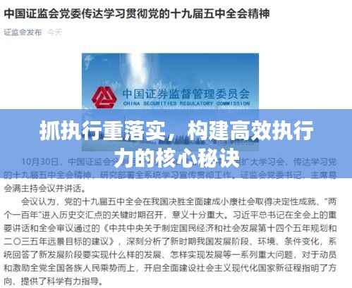 抓执行重落实，构建高效执行力的核心秘诀