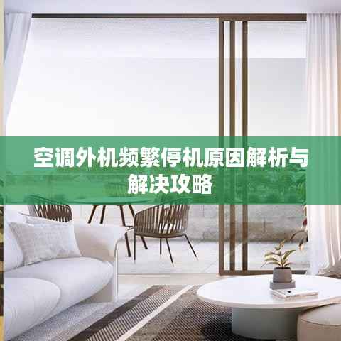 纲举目张 第5页