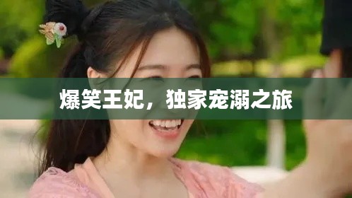 爆笑王妃，独家宠溺之旅