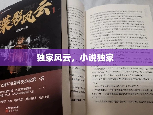 独家风云，小说独家 