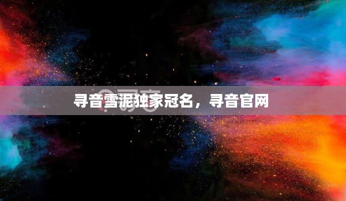 寻音雪泥独家冠名，寻音官网 