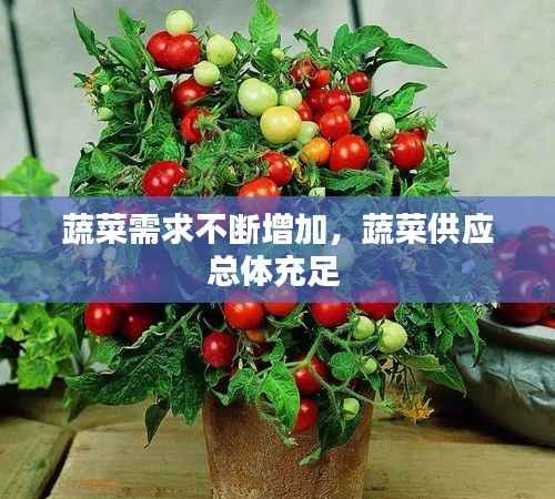 蔬菜需求不断增加，蔬菜供应总体充足 