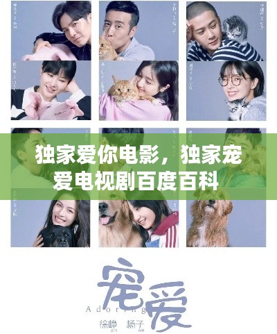 独家爱你电影，独家宠爱电视剧百度百科 