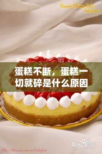 气宇轩昂 第5页