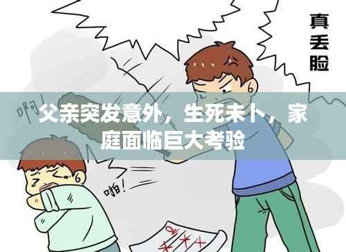 父亲突发意外，生死未卜，家庭面临巨大考验