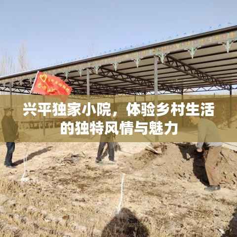 兴平独家小院，体验乡村生活的独特风情与魅力
