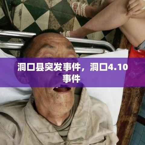 洞口县突发事件，洞口4.10事件 