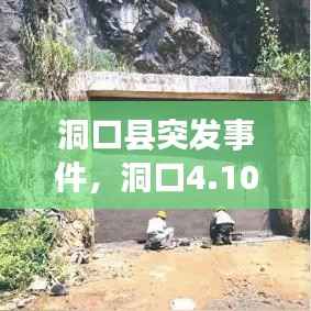 洞口县突发事件,洞口4.10事件