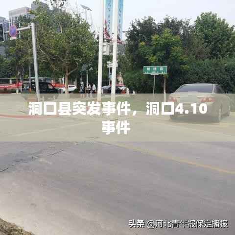 洞口县突发事件,洞口4.10事件