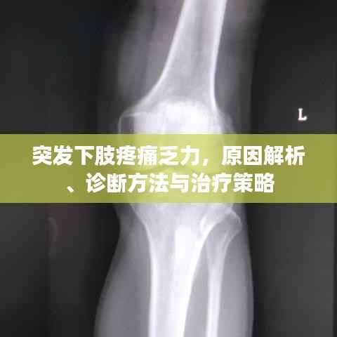 突发下肢疼痛乏力,原因解析、诊断方法与治疗策略