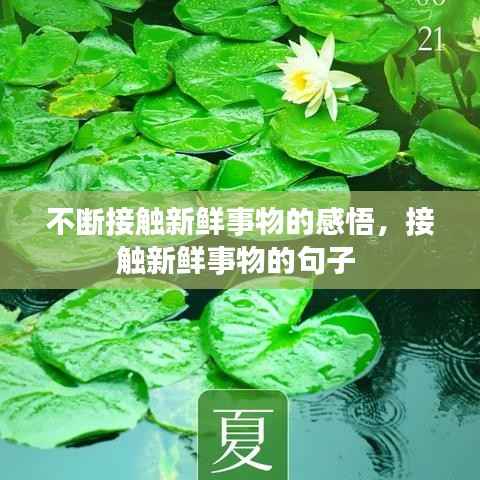 不断接触新鲜事物的感悟,接触新鲜事物的句子