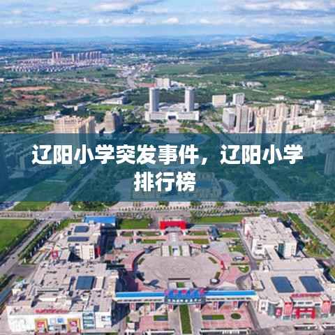 辽阳小学突发事件，辽阳小学排行榜 