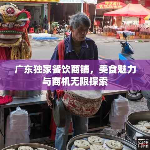 广东独家餐饮商铺，美食魅力与商机无限探索