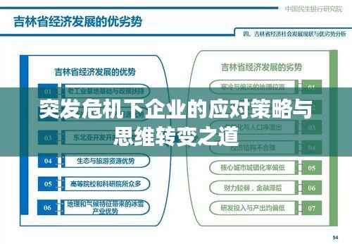 突发危机下企业的应对策略与思维转变之道