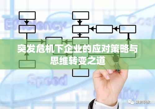 突发危机下企业的应对策略与思维转变之道