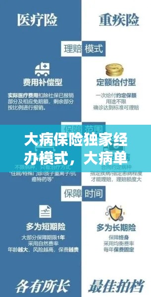 大病保险独家经办模式，大病单人保 