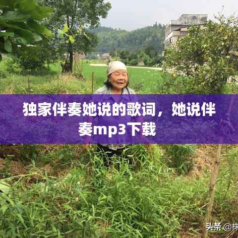 独家伴奏她说的歌词，她说伴奏mp3下载 