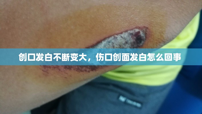 创口发白不断变大，伤口创面发白怎么回事 