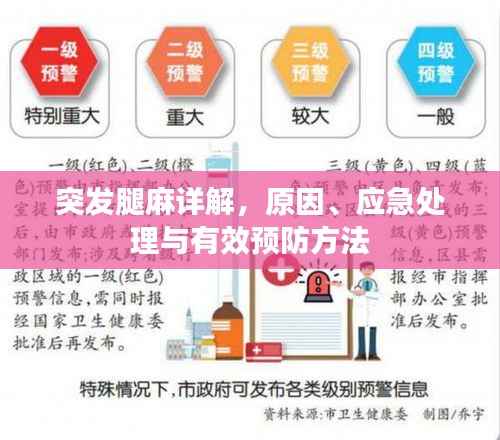 突发腿麻详解，原因、应急处理与有效预防方法