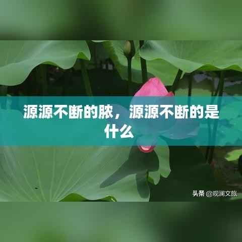 源源不断的脓，源源不断的是什么 