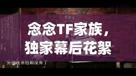 念念TF家族，独家幕后花絮揭秘！
