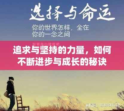 追求与坚持的力量，如何不断进步与成长的秘诀